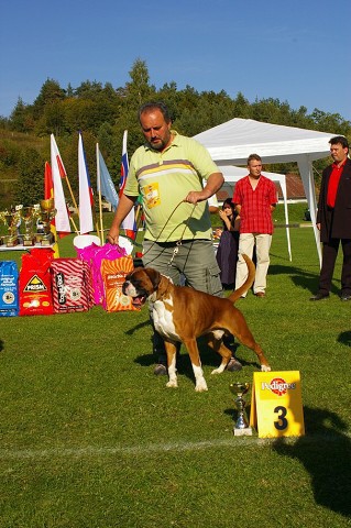 www.boxer-show.eu